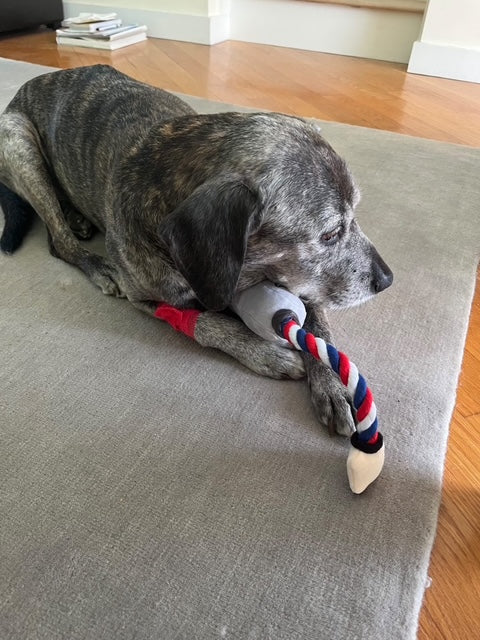 Clipper Rope Toy