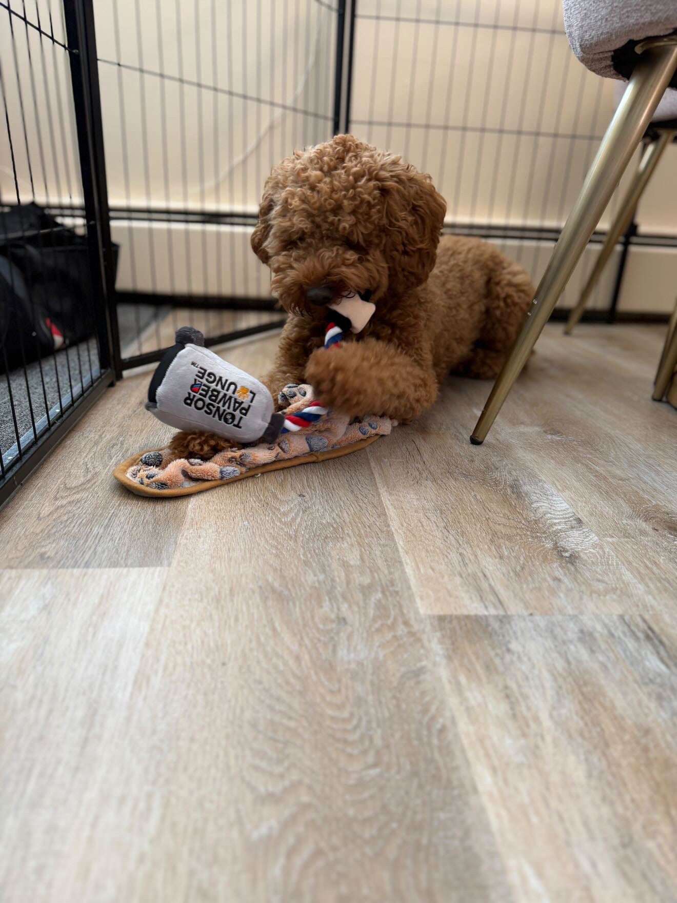 Clipper Rope Toy