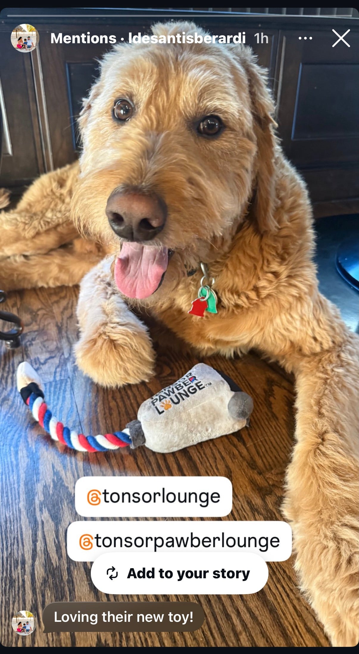 Clipper Rope Toy