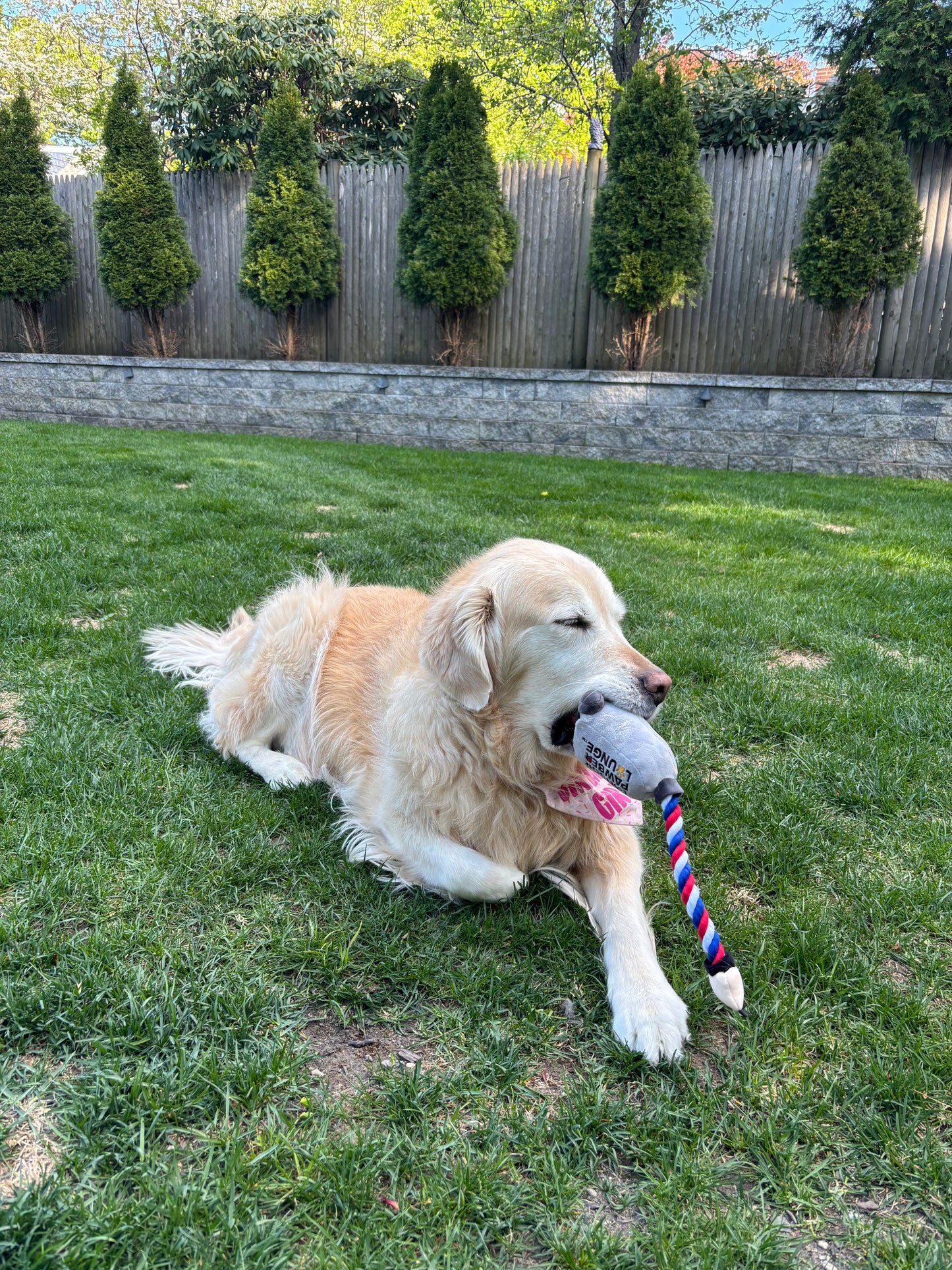 Clipper Rope Toy