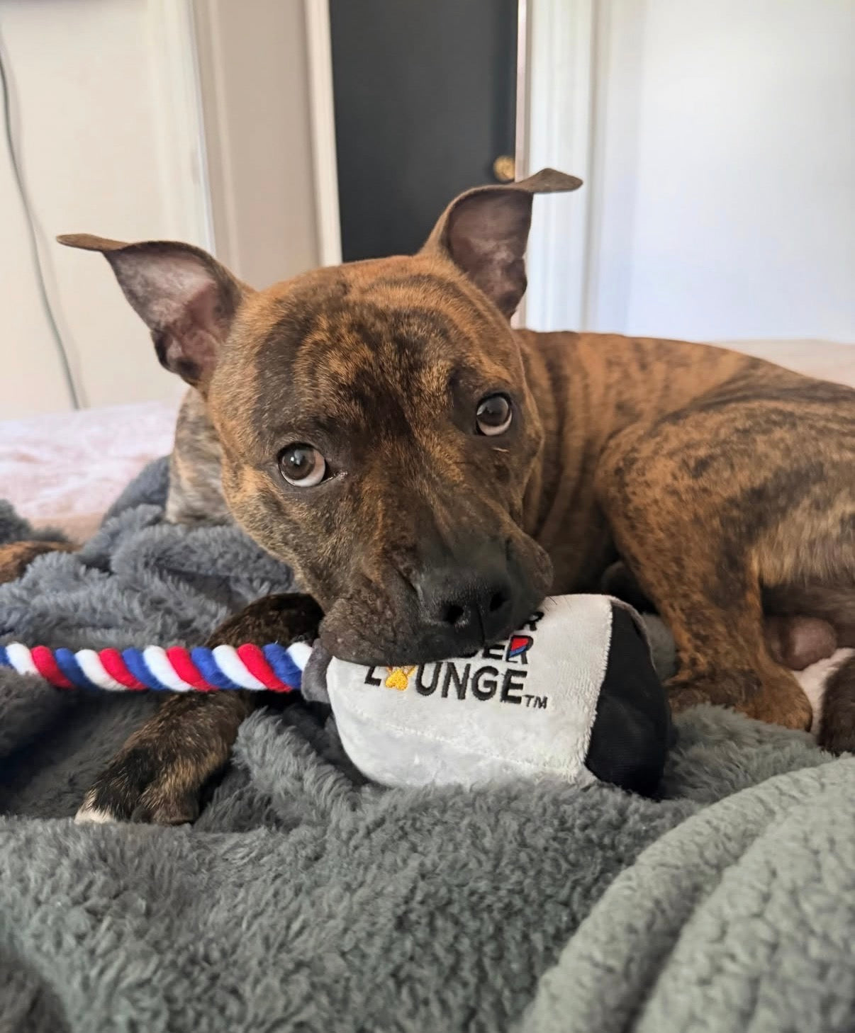 Clipper Rope Toy