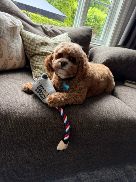 Clipper Rope Toy