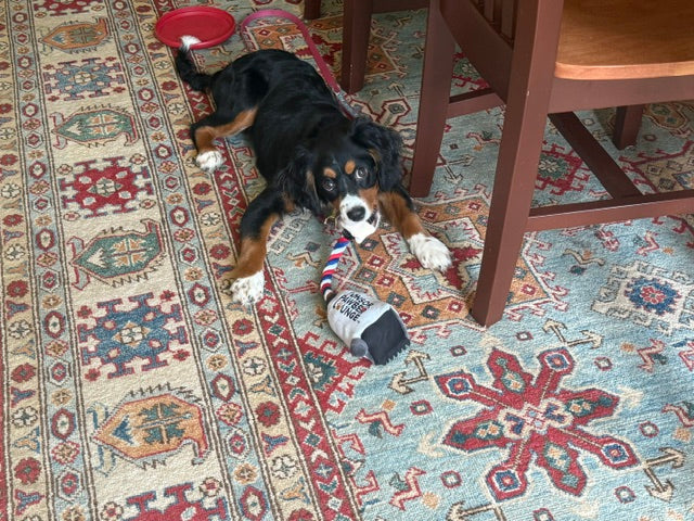 Clipper Rope Toy