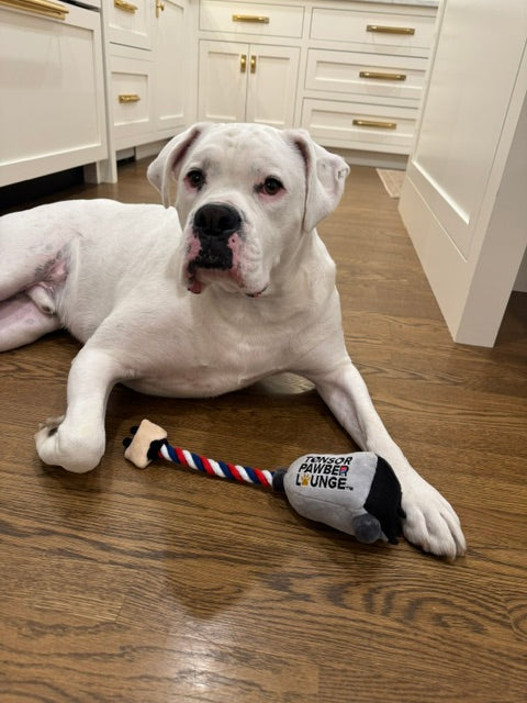 Clipper Rope Toy