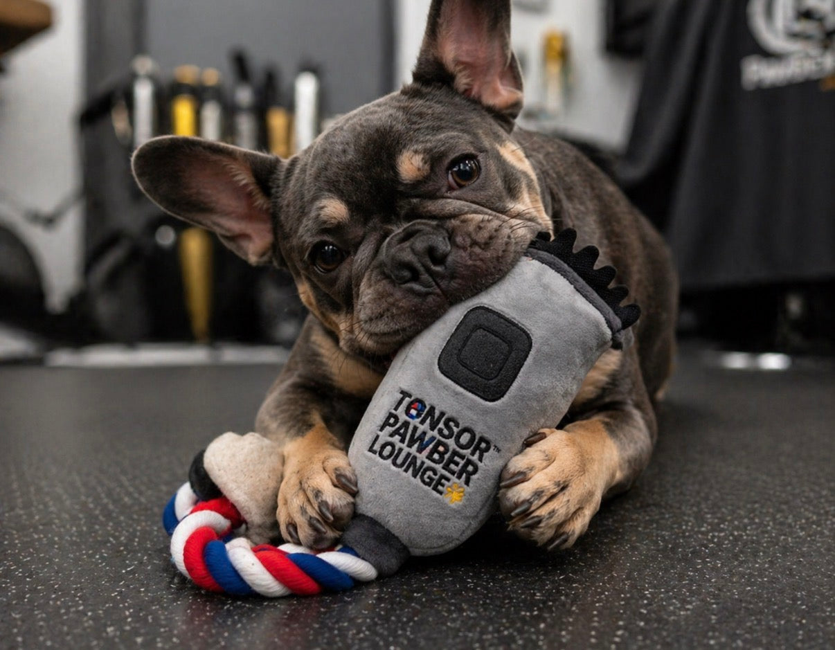 Clipper Rope Toy